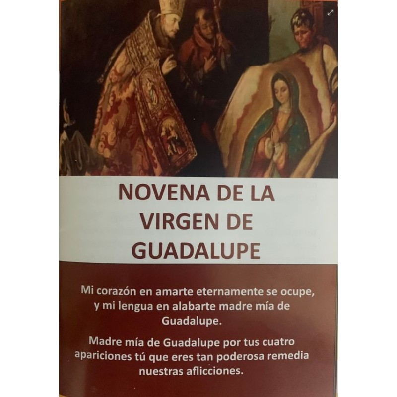 NOVENA DE LA VIRGEN DE GUADALUPE
