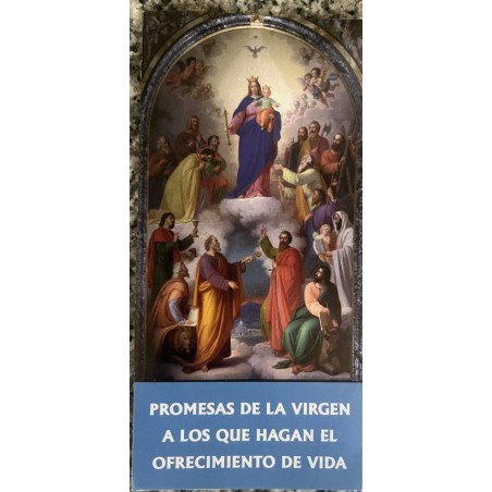 OFRECIMIENTO DE VIDA